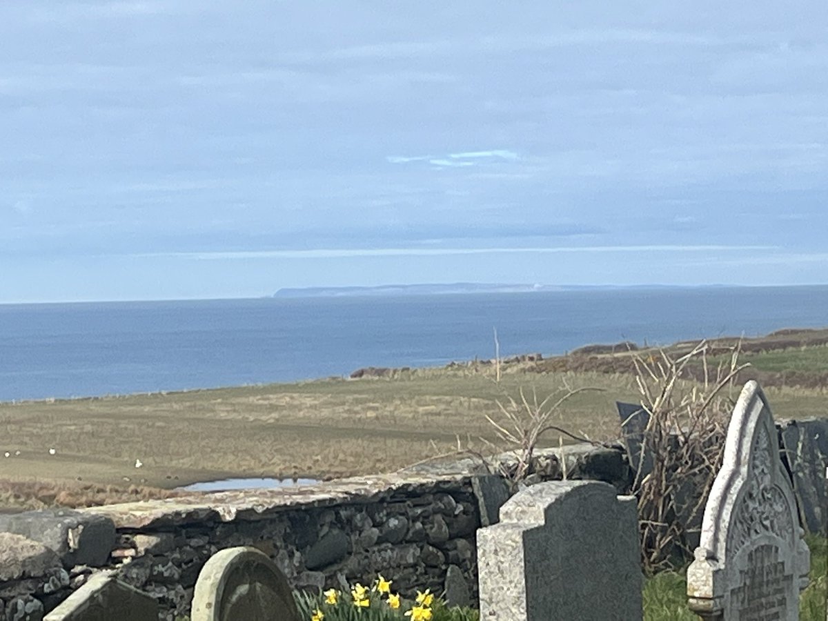 Tricia Hillas tweet media