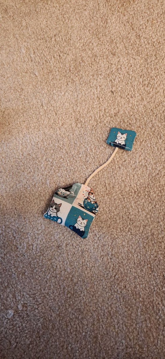 Servant went to the pet expo. She watched dog races (for fun) and brought us this catnip teabag, modeled by Cleo, and silvervine sticks