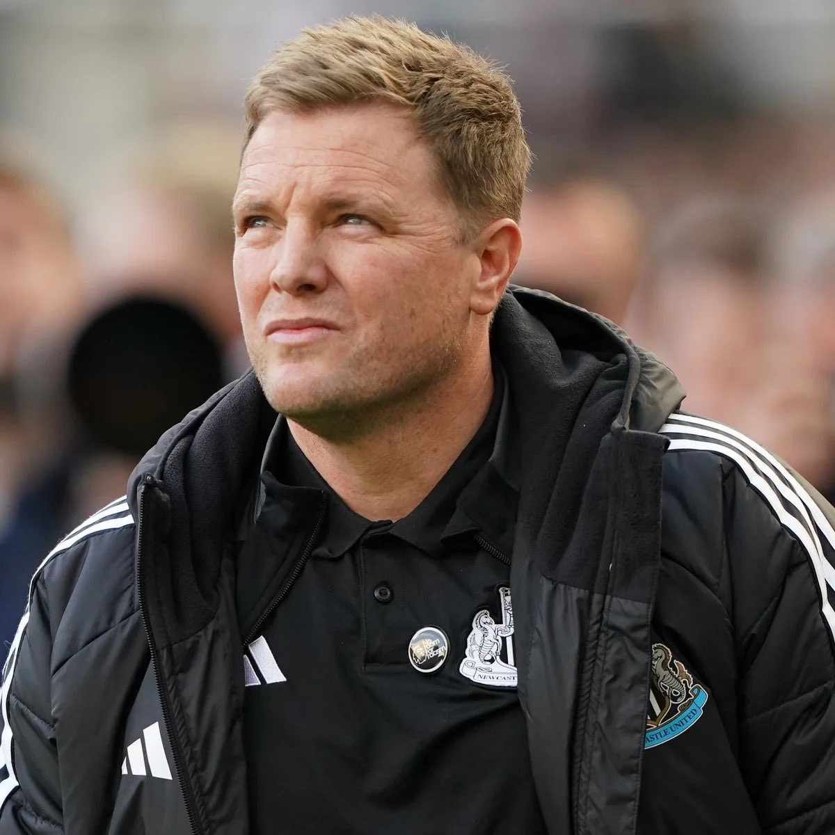 DailyNUFC tweet media