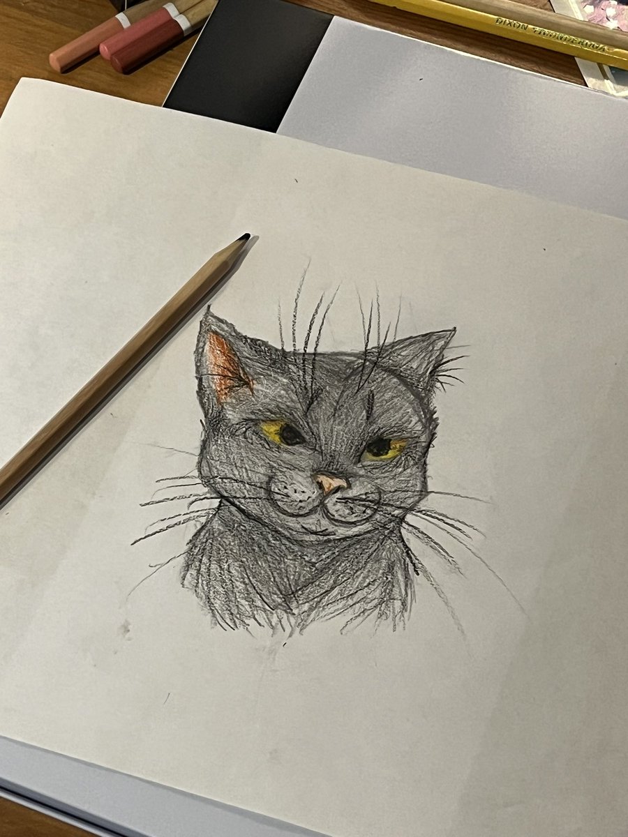 firepitmafia's tweet photo. @Davc_s Does sharing count if “it doesn’t count”? #untaggable I ask because I want to share my daughter’s work. She impresses me. She’s 10 and not stopping. Watch out for AEB. Currently into cats 😅 https://t.co/3veUrbSgkl
