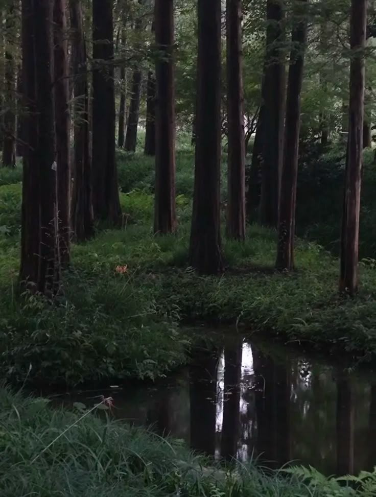 𝕰𝖑𝖊𝖒𝖒𝖎𝖗𝖊 tweet media