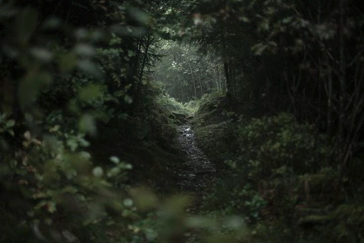 𝕰𝖑𝖊𝖒𝖒𝖎𝖗𝖊 tweet media