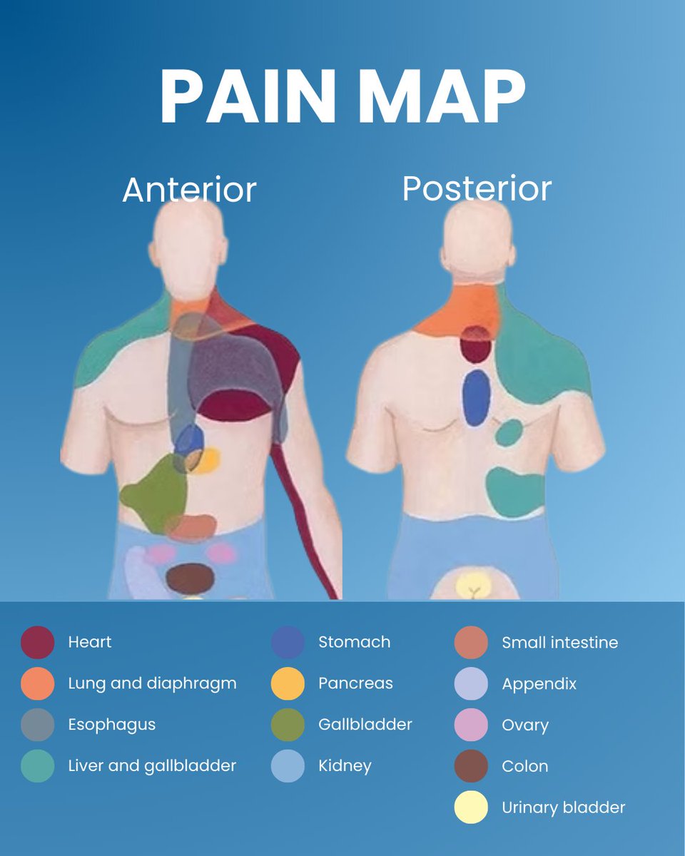 twc_health's tweet photo. Have you ever gotten an ache/pain and wondered what it could be?

Before you hop on WebMD, save this "pain map" so you can be better informed when deciding what to do next.

#informedandempowered https://t.co/CGPiqOYHn9