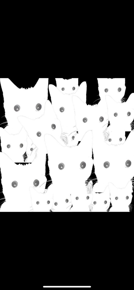 Theflashcat1's tweet photo. The Flash Cat $ron https://t.co/IPgr2ouSYk