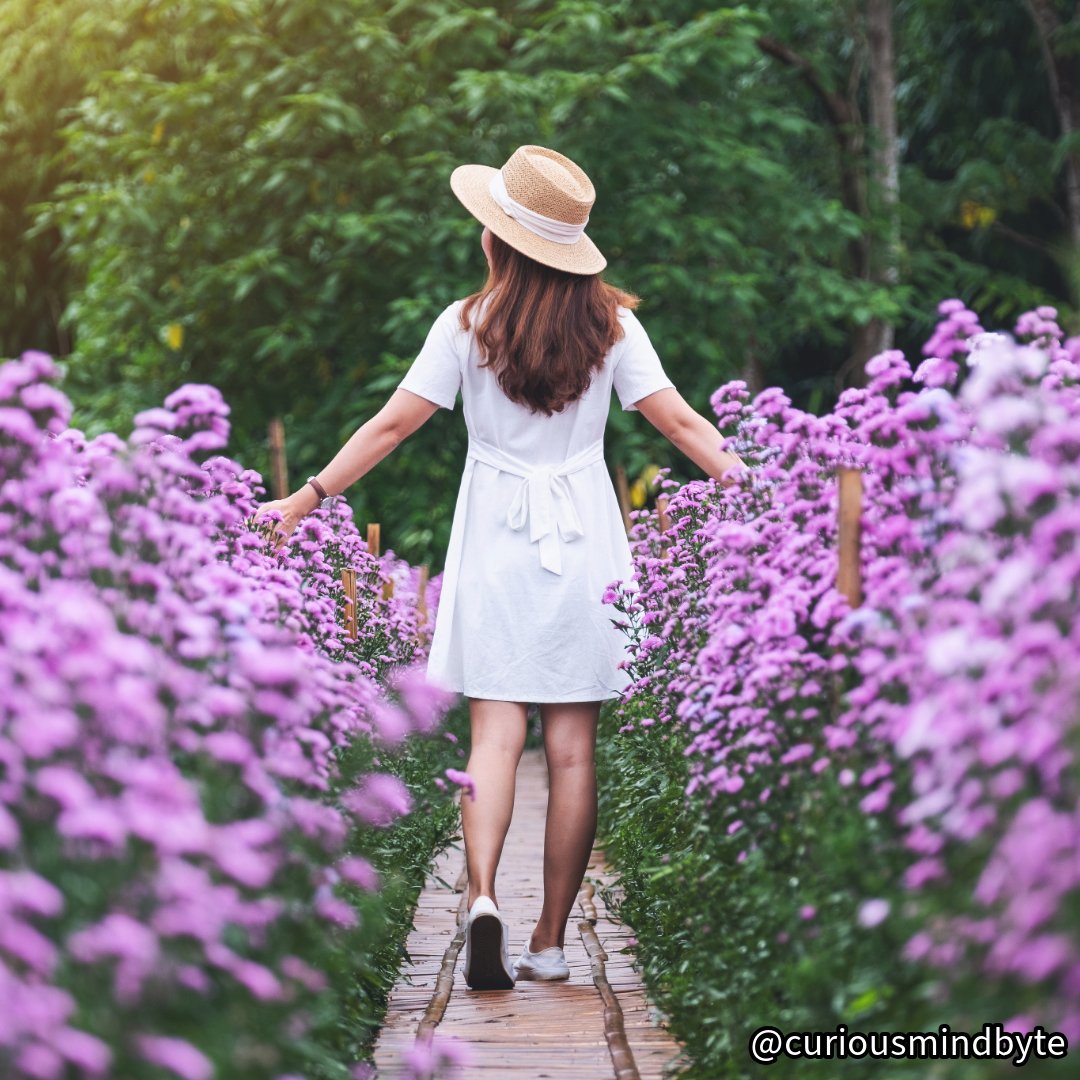 CuriousMindByte's tweet photo. Interesting Random Fact: Walking just 30 minutes a day can reduce the risk of heart disease, improve mood, and enhance overall fitness. #ExerciseFacts #Walking https://t.co/zj0kxvWd1V