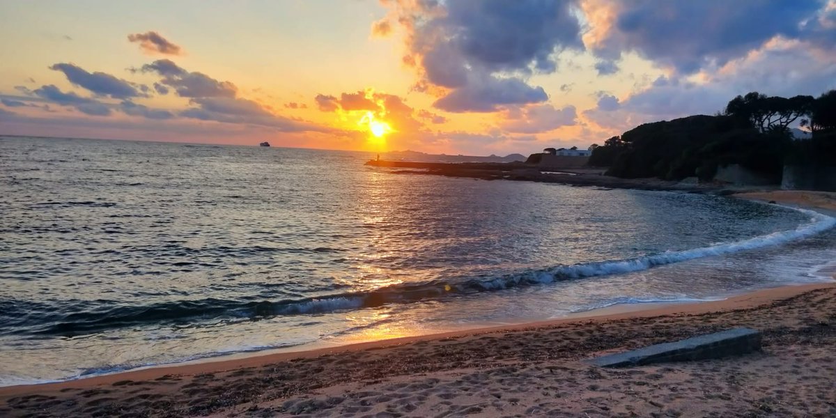 LPorticcio's tweet photo. Coucher de soleil au Maquis 😀
#porticcio #corse https://t.co/xQUv8Djkm0