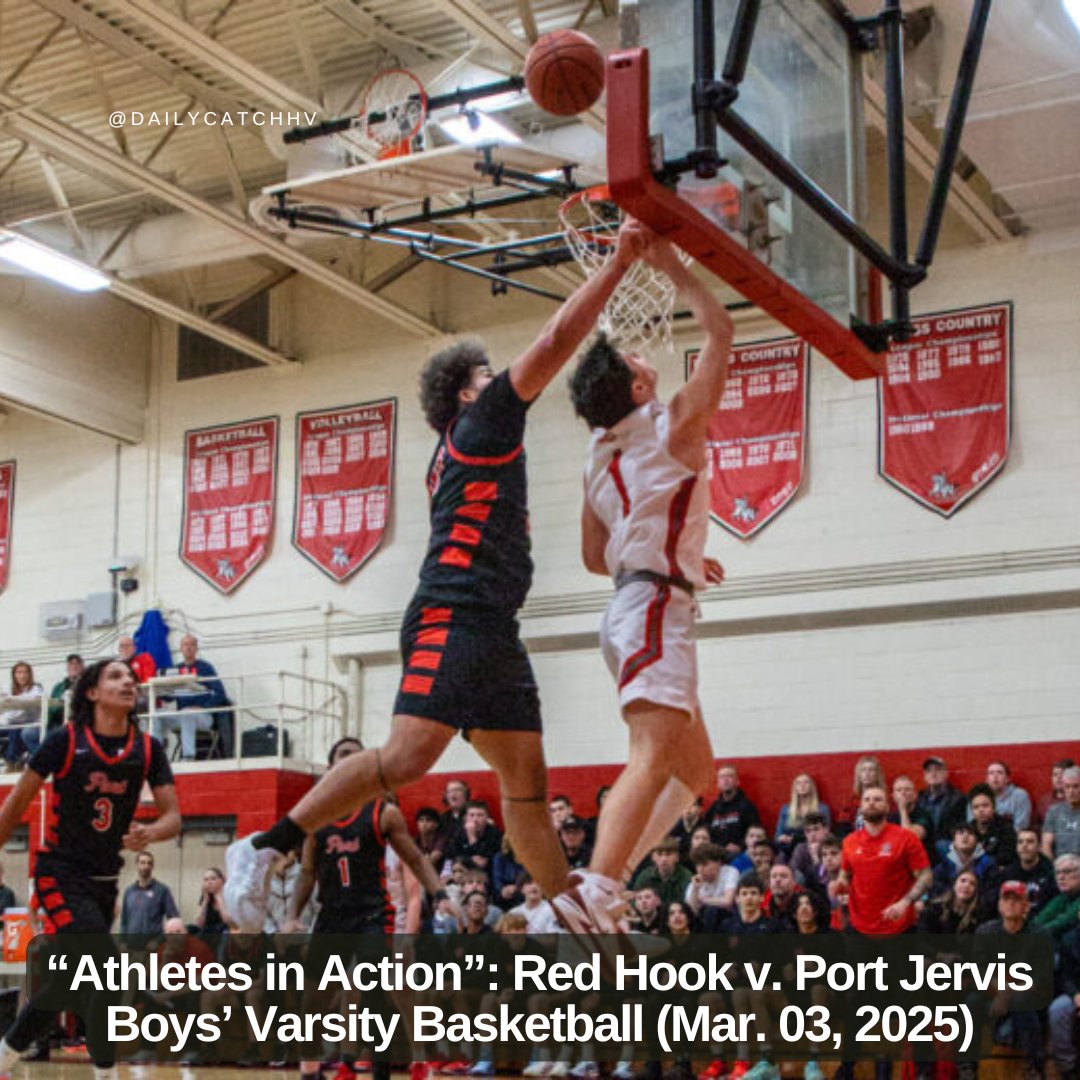 The Daily Catch tweet media