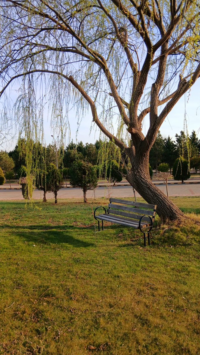 Bir arkadaş,bir meşgale,bir mekân ya da bir zihin yolculuğu,insani bu dünyadan alıp başka âlemlere götürebilmeli.'Sanki buralı değilim,oralarda gezindiğim bir yer var' diyebileceği uzakları olmalı insanın. O uzaklar,dünyada olmanın en iyi tesellisi ve en güzel kaçış biçimi.