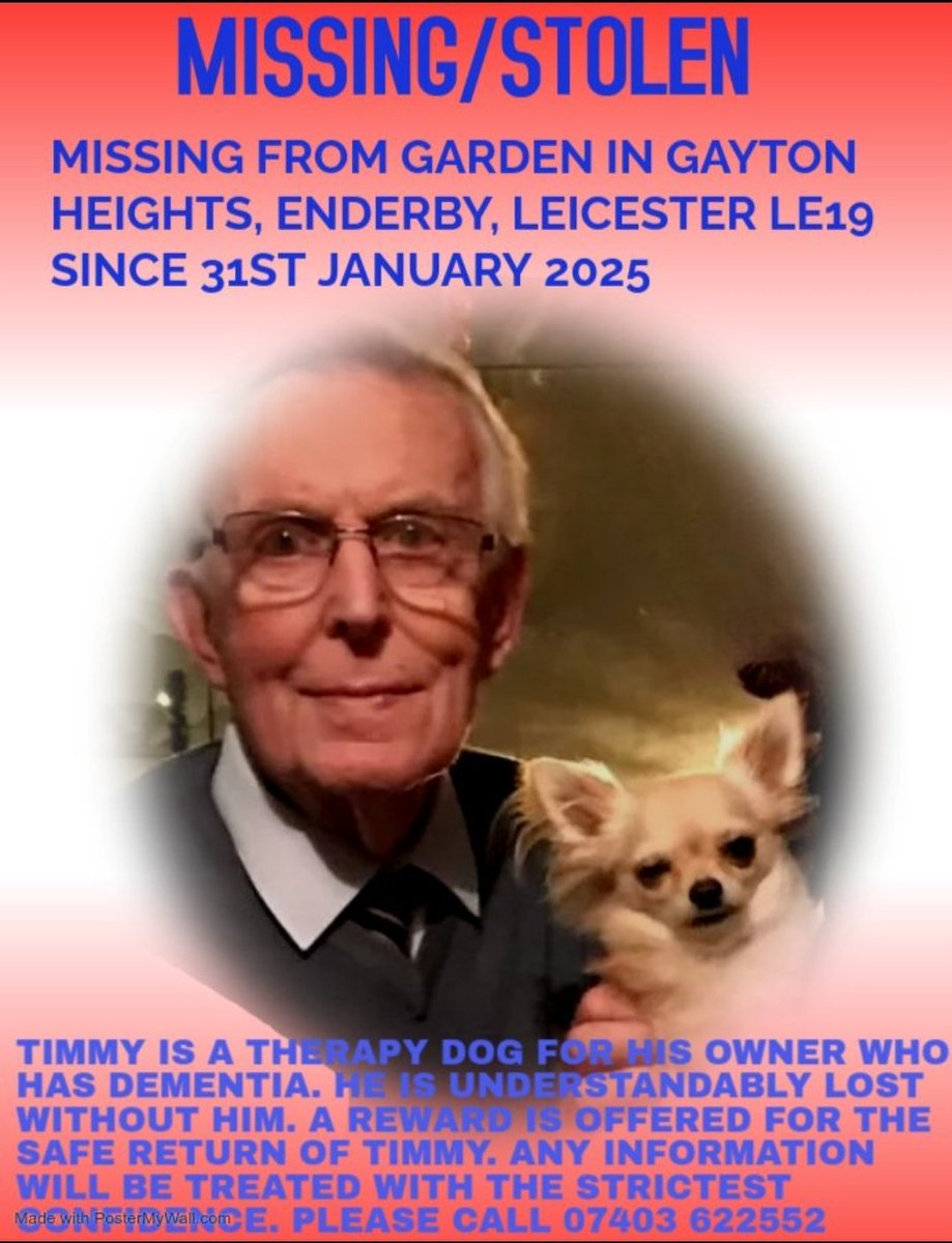MissingPetsGB's tweet photo. Where is little Timmy? How can no one have seen him when he escaped the garden on 31 January 2025 in Gayton Heights #Enderby #LE19 ?

Is it because perhaps someone stole him? TIMMY is desperately needed home. He is a support dog to a 92 year old man with dementia.💔#stolendoghour https://t.co/ZnCwk19EXp