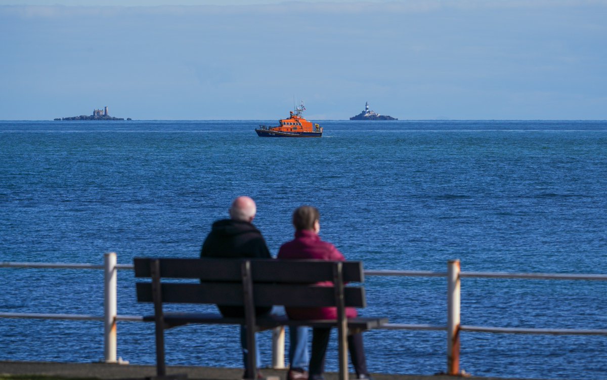 Tartan Eyes tweet media