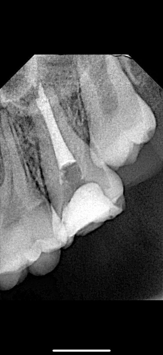 Turki Alazmi | تركي العازمي tweet media