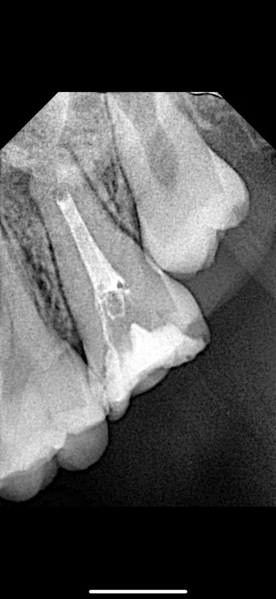Turki Alazmi | تركي العازمي tweet media