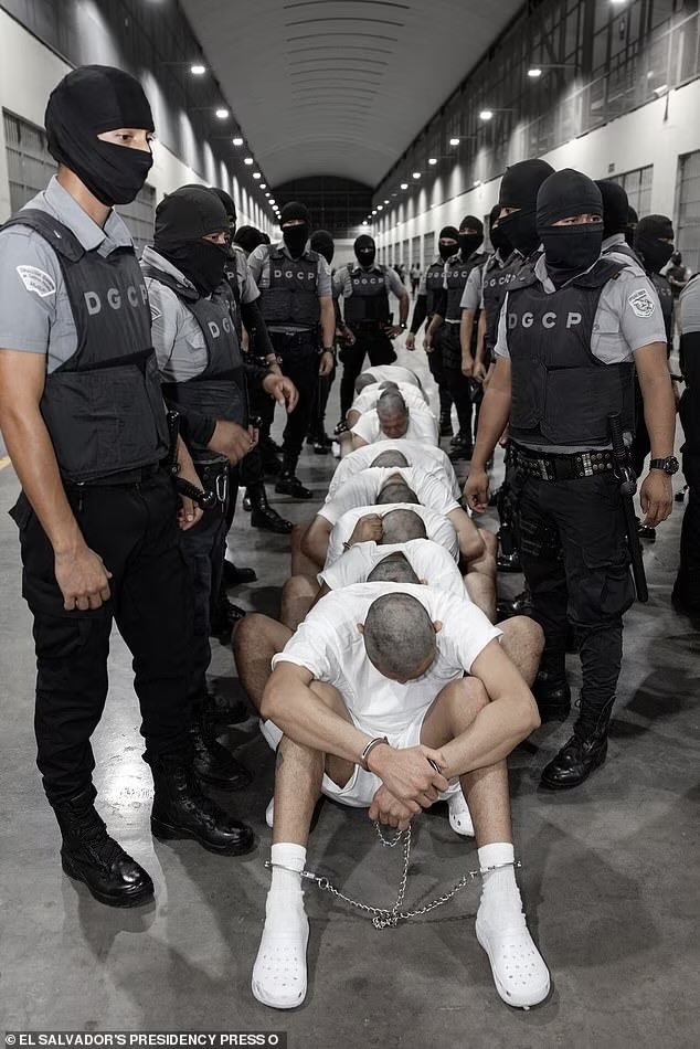 3 months ago, migrant gangs lived in luxury hotels in NYC. Now they are shackled in El Salvador.