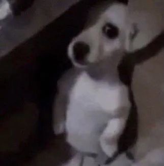 0-2 vs FSX 
gg wp gang