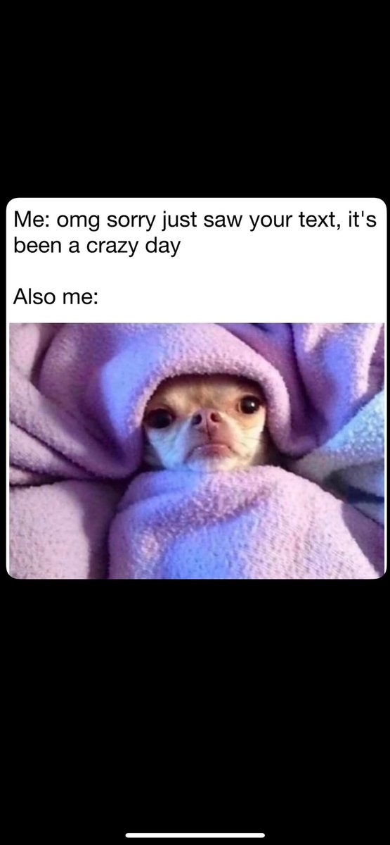 Daily Memes (@bestmemesfuns) on Twitter photo 