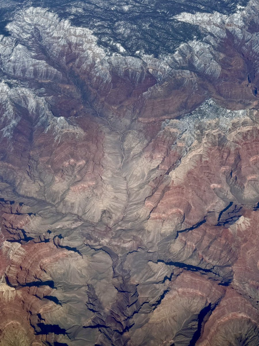 thetruebowser's tweet image. #GrandCanyon