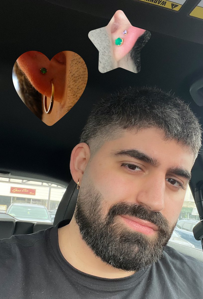 Beariana tweet media