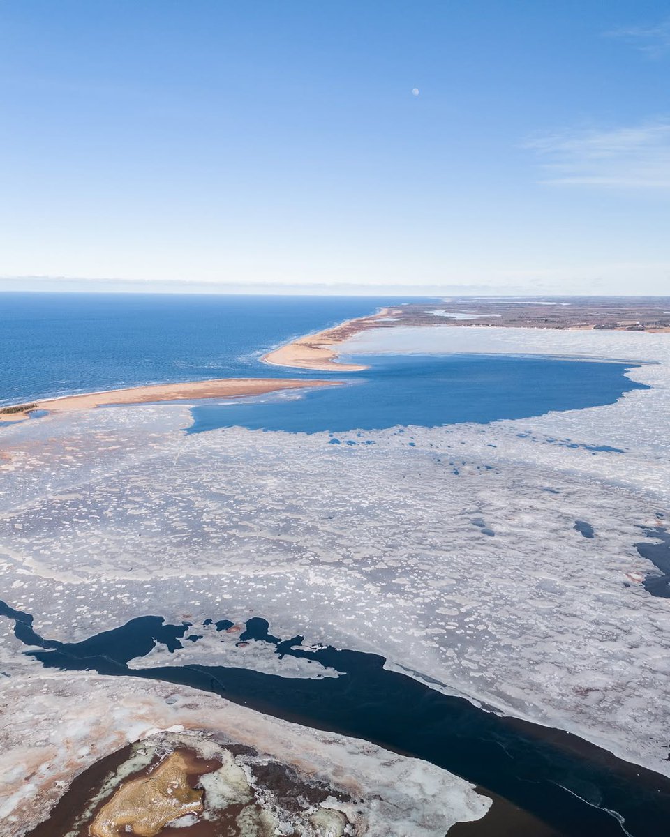 Welcome PEI tweet media