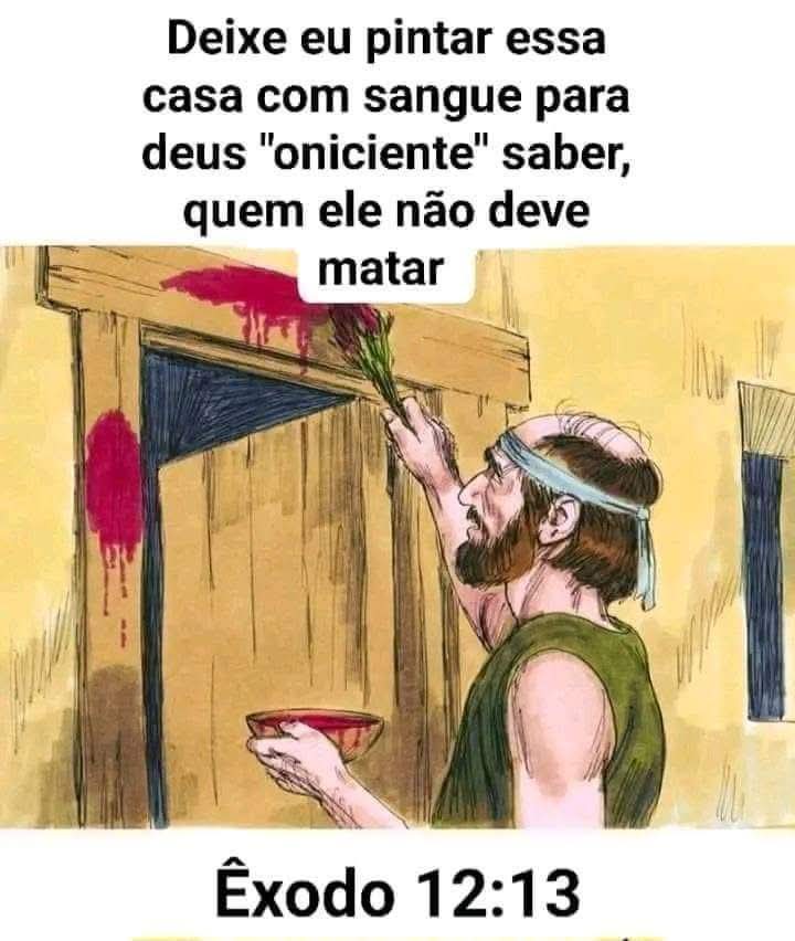 Frede Cavalcante tweet media