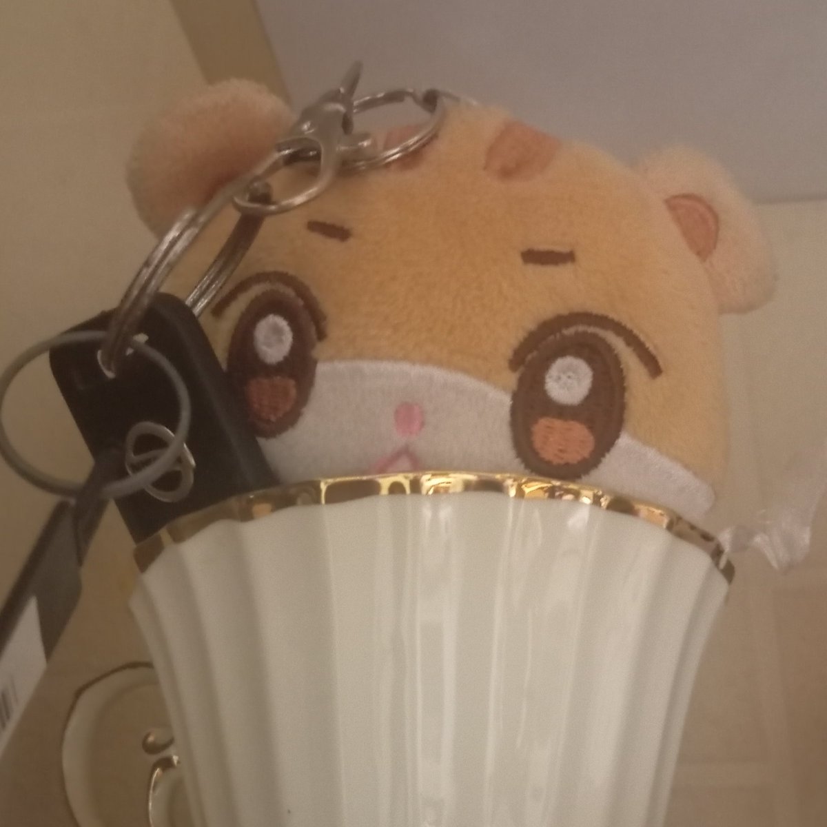 byongminki's tweet photo. using a devious squirrel as my key protector says a lot about me as a driver. I'll crash into an old lady and say 'oopsy daisy'. beware while u can. https://t.co/X1bpZX6YDR