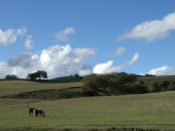 DanKoosh's tweet photo. Spectacular 160 Acres #WineCountry Ranch in heart of #PasoRobles, #California - Ready to plant 140 acres premium vines, with 400-GPM AG Well + 2 Homes and much more… | $3.5 Million! - Info: 818-674-8555 https://t.co/oDWkBXsXxq