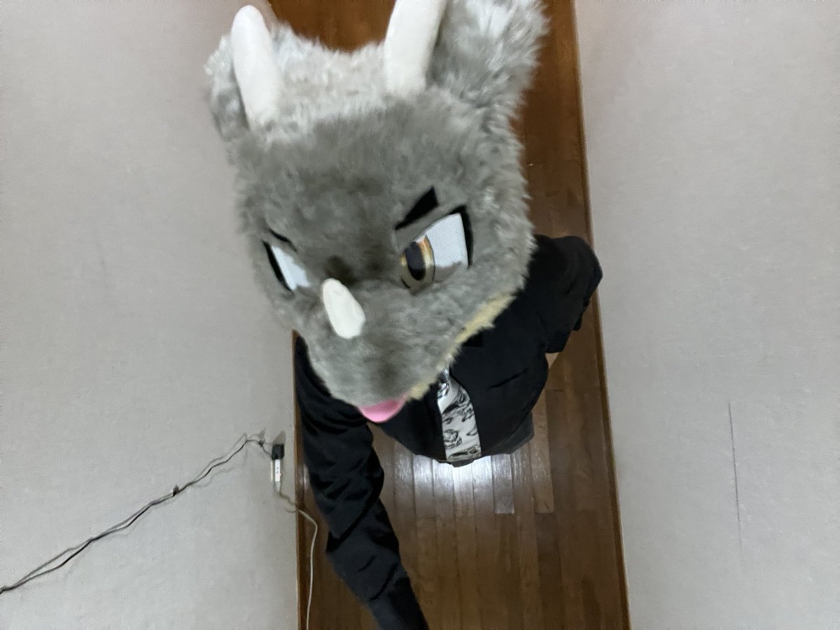 wolfmuzzle11's tweet photo. #ケモノパレット
#Harmaa
うへへお腹ポヨってますねん https://t.co/bP7mQ6qvG6