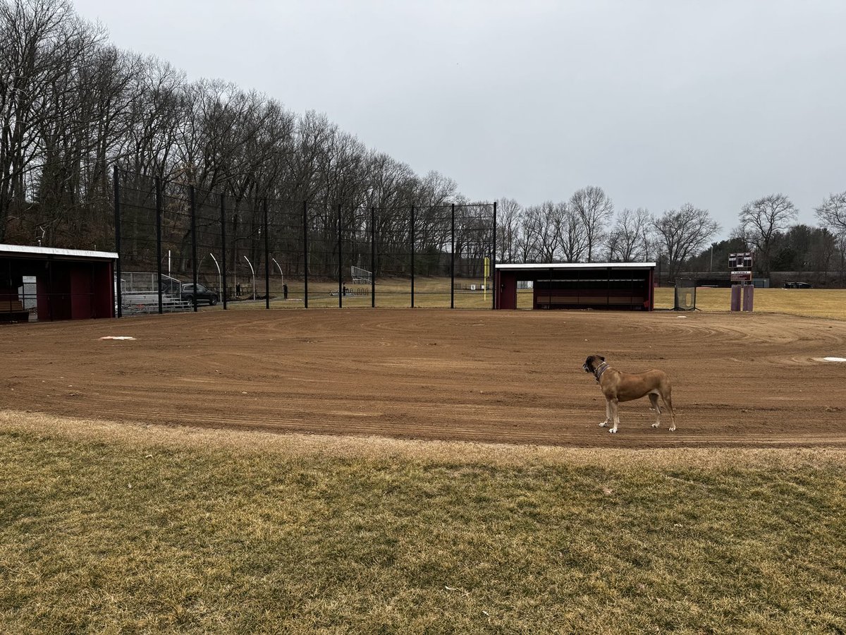 CCHS Softball tweet media