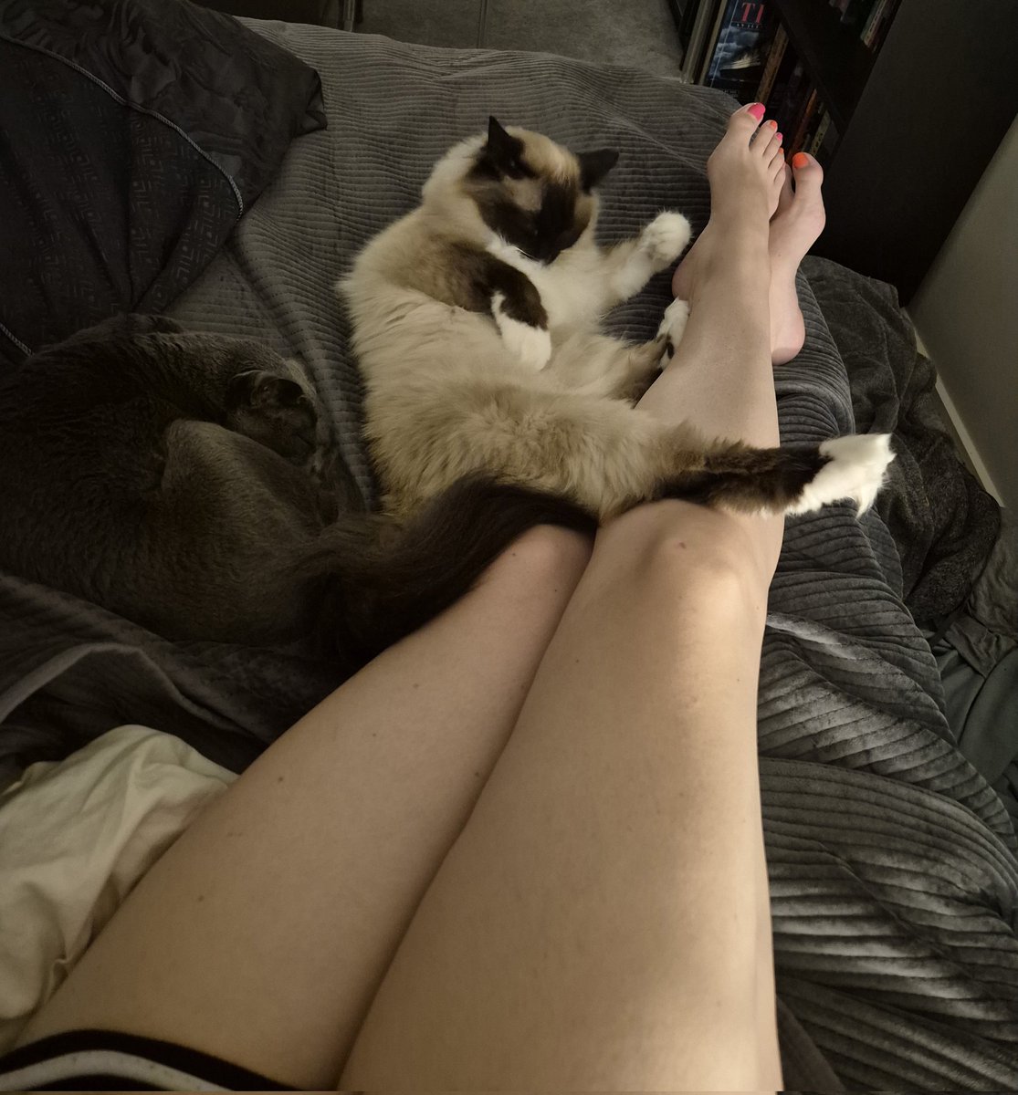 Welcome to my back up account. Behold two of my children.