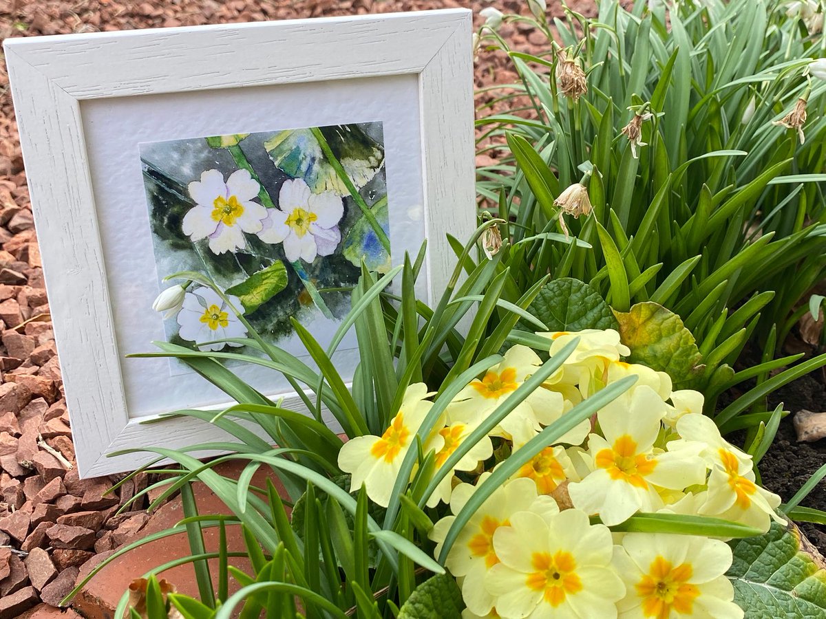 Janet Purves (@mormorjan) on Twitter photo P for Primroses #AlphabetChallenge #MHHSBD #shopindie a pretty little framed print #giftidea cardsbymormorjan.etsy.com/listing/143158โฆ #SMILEtt23 โฆ<a href="/CraftBizParty/">CraftBizParty</a>โฉ P for Primroses #AlphabetChallenge #MHHSBD #shopindie a pretty little framed print #giftidea cardsbymormorjan.etsy.com/listing/143158โฆ #SMILEtt23 โฆ<a href="/CraftBizParty/">CraftBizParty</a>โฉ