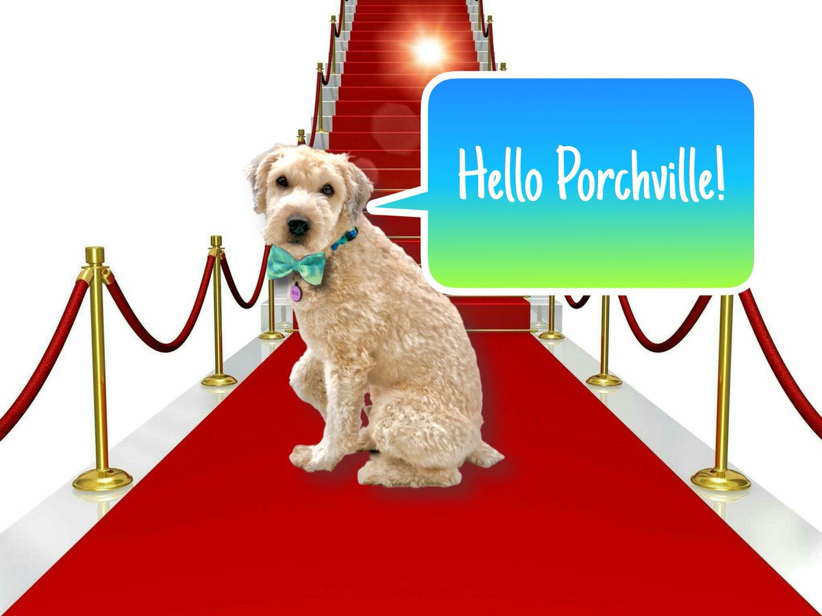 Hello PorchPals! Welcome to a very special Traveling Road Show Sunday here at #PalsPorch 😃