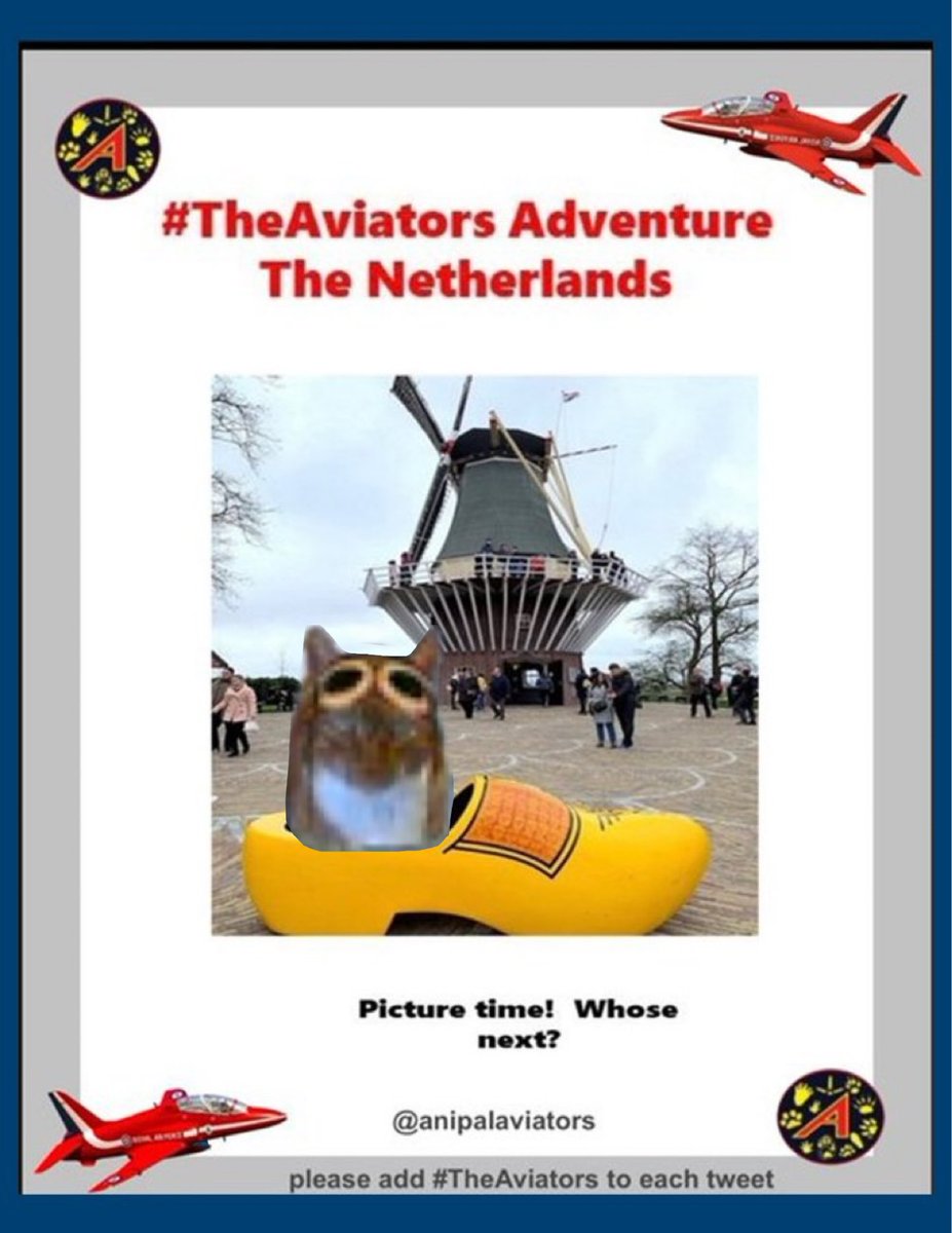 #TheAviators <a href="/cathiebun/">Colonel Pumpkin da Mookin, RIP all mine fwends 🌈.</a> 

Hey Pumpkin Pal! 🧡🖤 
Pawwaves!
