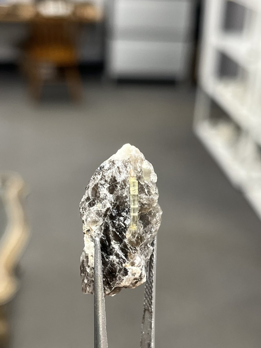 GrassiMinerals's tweet photo. Small Gemmy Heliodor! #GrassiMinerals #Heliodor #Beryl #MineralSpecimen #Canada #BritishColumbia #Gemstones #Minerals #Gemmy https://t.co/1niq6yYWKR
