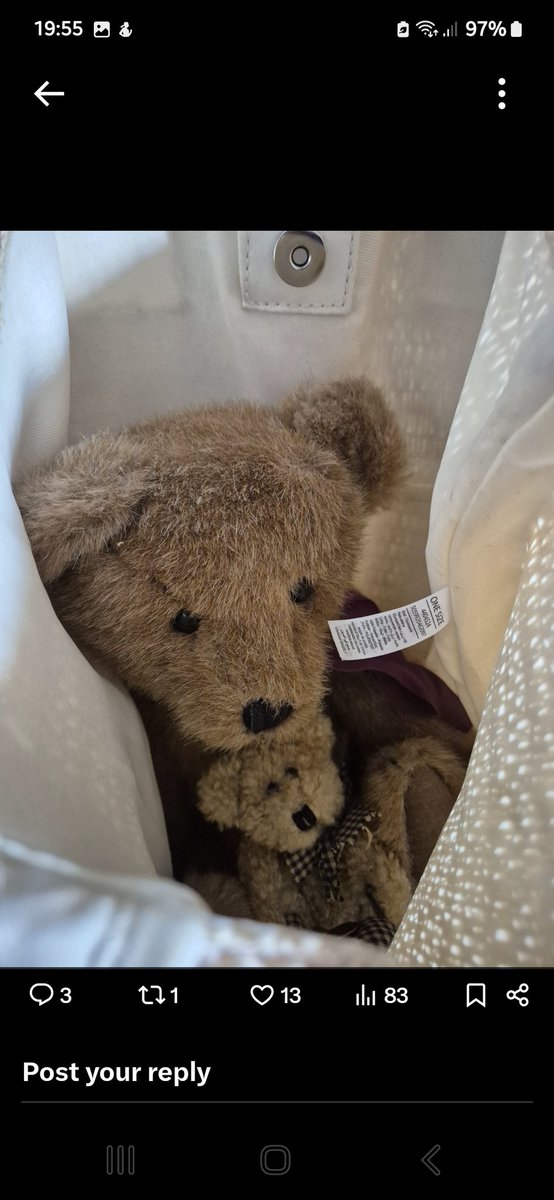 ann cooper tweet media