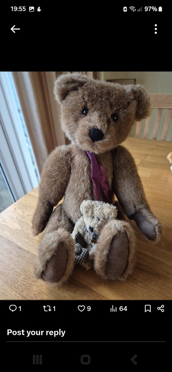 ann cooper tweet media