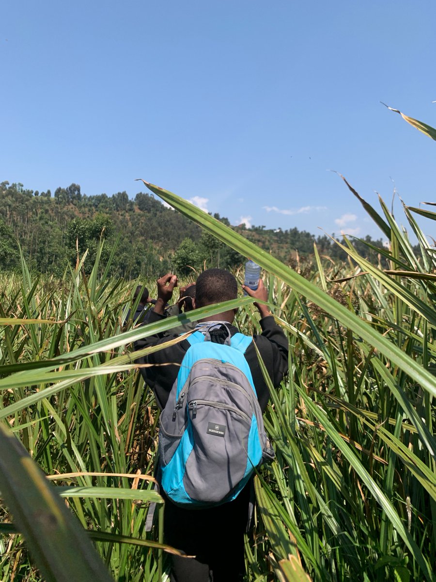 shiny_africa's tweet image. Karago Lake @NyabihuDistrict @RwandaWest 
#VisitRwanda 
#REMA_Rwanda 
#EnvironmentRw