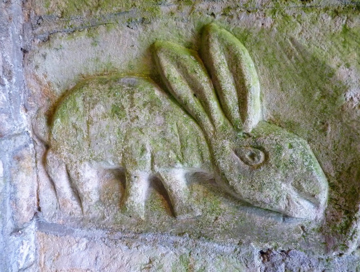 Medieval March Hare in the porch at St Mary the Virgin, Elmley Castle #Worcestershire