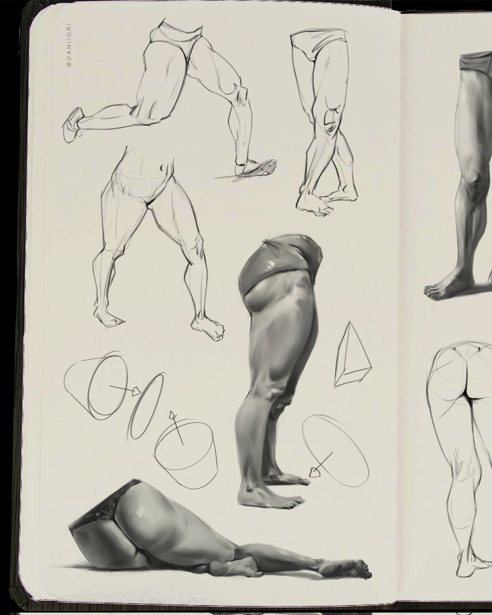 daniigri1's tweet photo. Anatomy studies
The complete studies are on my IG: https://t.co/Fg83LieEE6

#art #humanart #sketchbook #anatomydrawing #digitalpainting #illustration https://t.co/GIGJTSbbF9