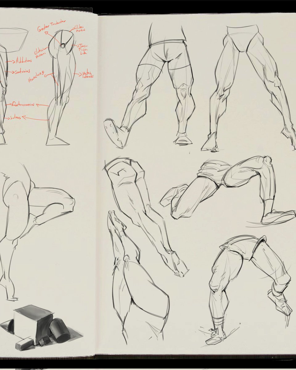 daniigri1's tweet photo. Anatomy studies
The complete studies are on my IG: https://t.co/Fg83LieEE6

#art #humanart #sketchbook #anatomydrawing #digitalpainting #illustration https://t.co/GIGJTSbbF9