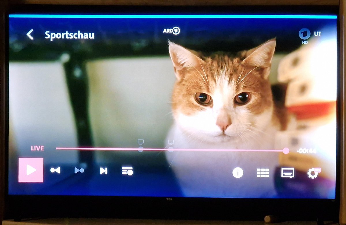 #Tatort Augenzeuge!  👀