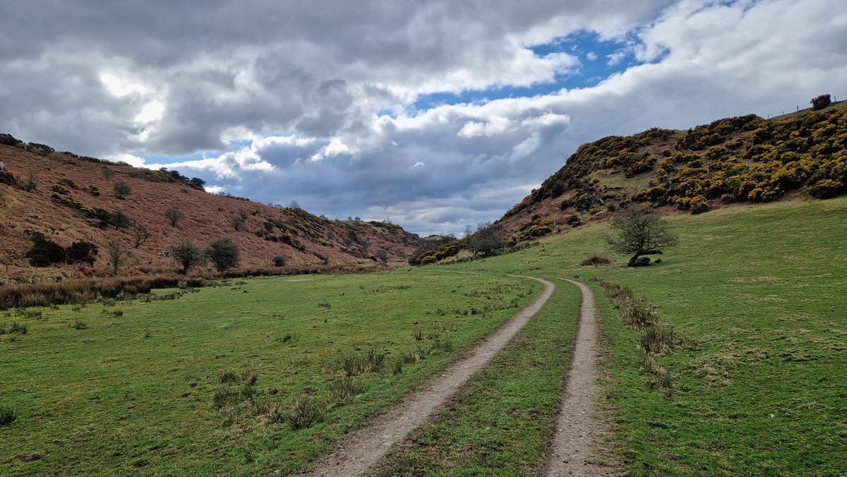 Pádraig Ó Beaglaoich tweet media