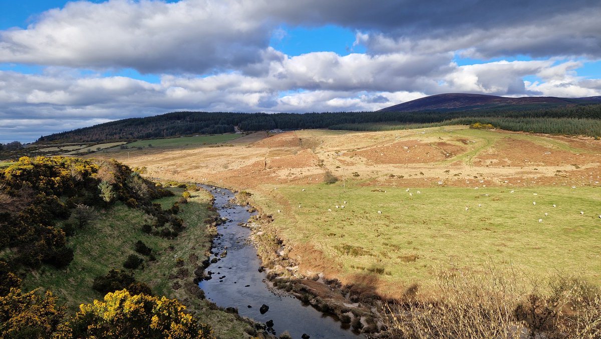 Pádraig Ó Beaglaoich tweet media