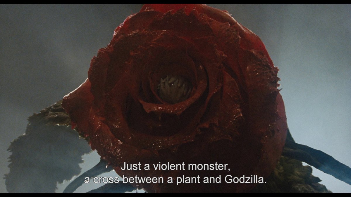 14_kaiju's tweet photo. Some screenshots from Criterion's forthcoming 4K remaster of Godzilla vs. Biollante (1989) https://t.co/NDBQZuQF6q