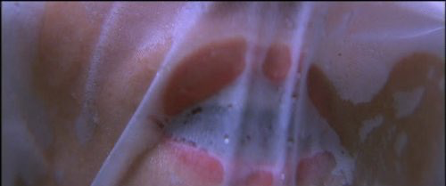TheCinesthetic's tweet photo. Christopher Nolan's Memento was released 24 years ago today. https://t.co/0etn5xbrDK