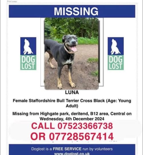 The_Animal_Team's tweet photo. #stolendoghour β οΈβ οΈ PLEASE DON'T FORGET ABOUT LUNA β οΈβ οΈ Luna ran off from the #B12 area, #Birmingham She was wearing a jumper & a baby pink collar with rhinestones & a name tag. She is spayed & her chip is flagged as missing so no use to breeders. This was on 4/12/24. FB Group please join: DL: https://t.co/GTOljoyPD9 Please join Luna's FB Page: https://t.co/P6EnM1b5yP #MissingDog #LostDog #Deritend