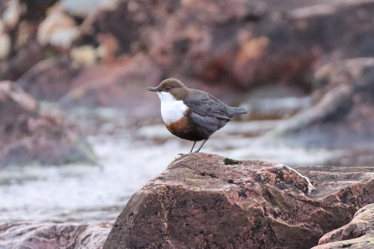 A nice long weekend away in Scotland.