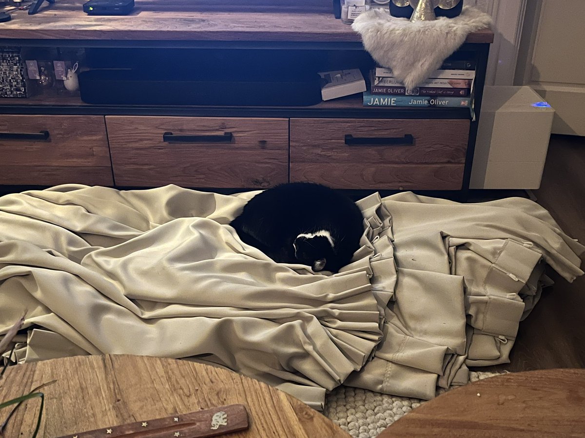 Je koopt allerlei mandjes, maar daar ligt ze niet in. Waar gaat ze wel op liggen? De oude gordijnen die je net weggehaald hebt. Mevrouw ligt wel erg lekker te knorren….