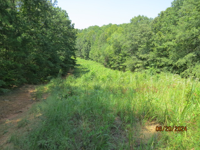 CyprusPartners's tweet photo. Great Spot For Rural Homesites - https://t.co/YQ10bVhwm5 https://t.co/v6BhkS7BSU