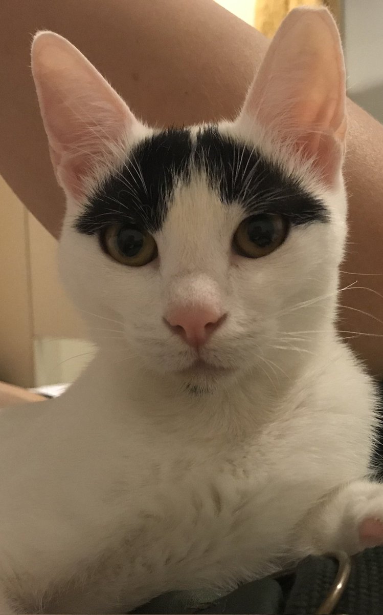 Benzetildiğim ünlüler serisi:p