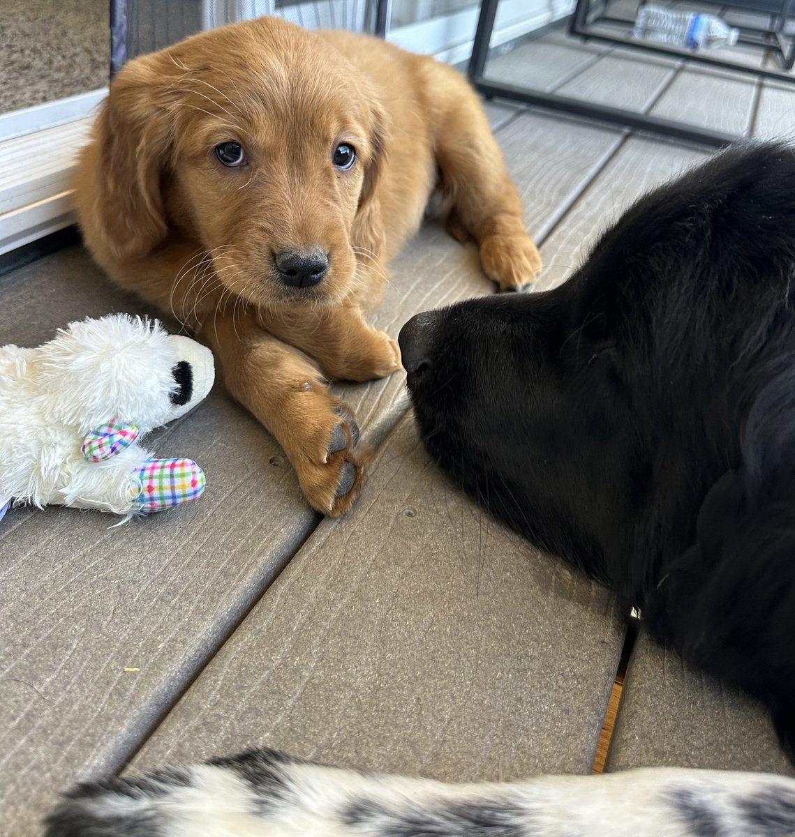 Cecily 💋 tweet media