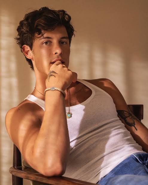 ladymoskigna's tweet photo. Un periodista de C5N le preguntó a Shawn Mendez si conocía a Lali Espósito, y Shawn respondió:

"No, ni idea quien es Lali, de Argentina solo conocemos a Tini Stoessel, y me encantaría verla personalmente. Comencé a seguirla en IG, y con mi equipo queremos grabar una canción" https://t.co/bynin56P7Q